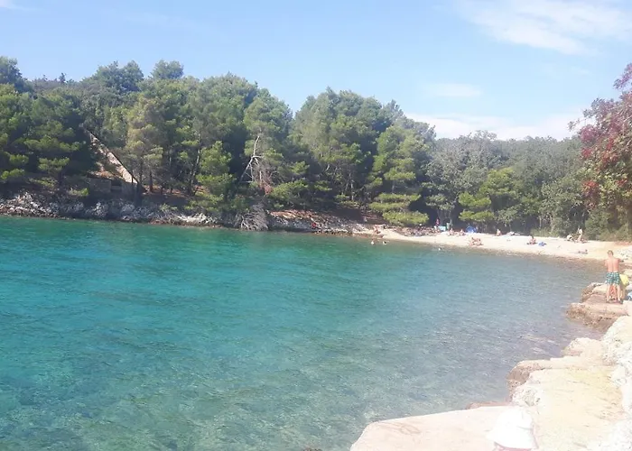 Tin Pinezići